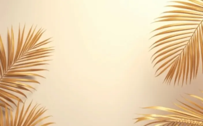 Campagne digitale 360°