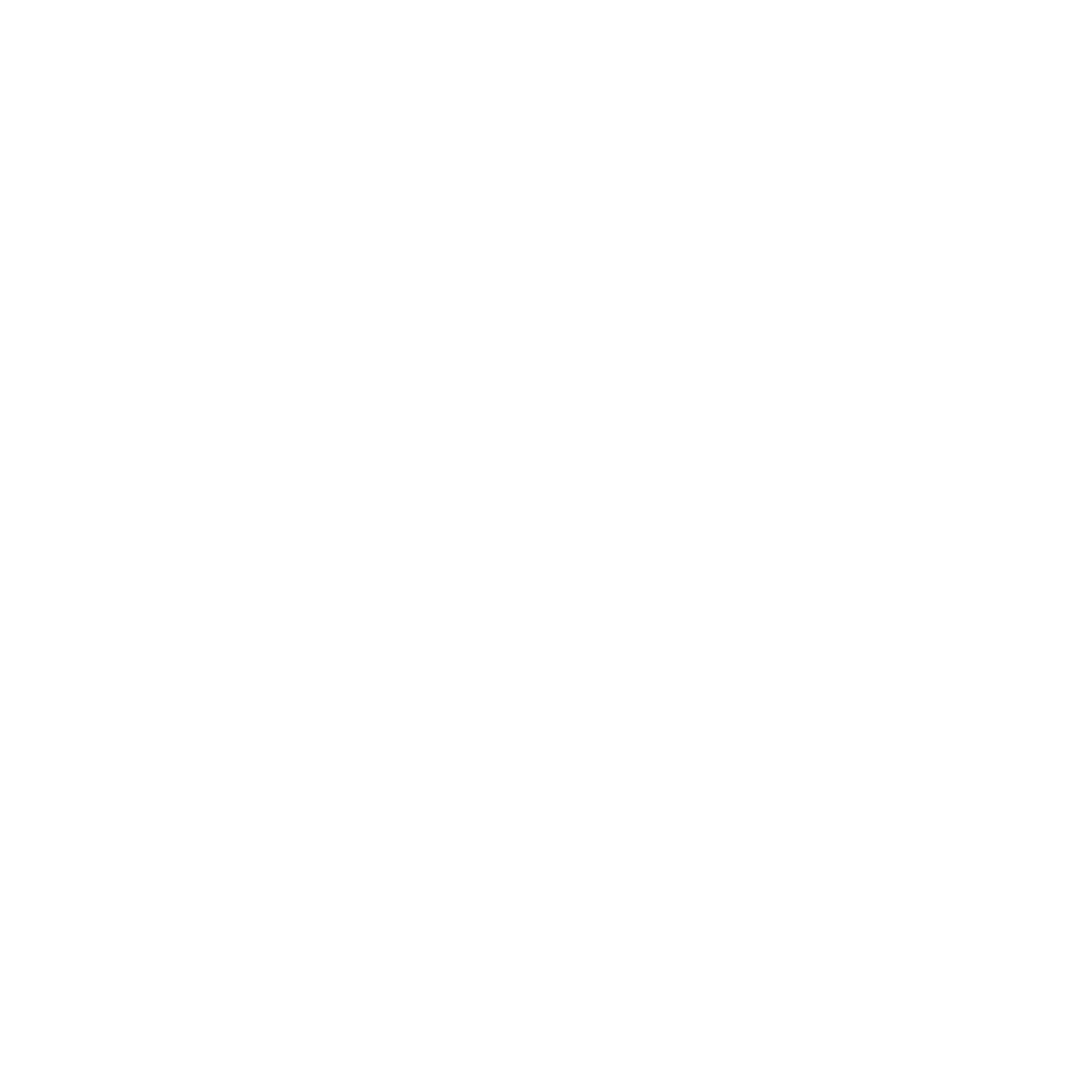 logo-ppp-blanc